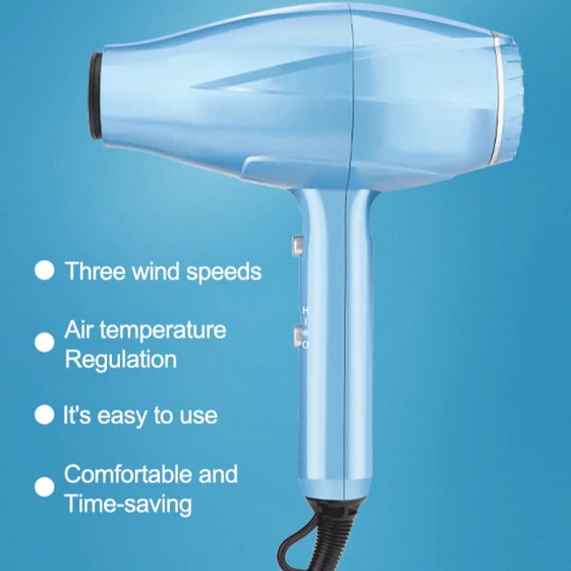 High Power Pet Hair Straight Curl Double Use Straight Hair Plate Hair Dryer Hair Dryer