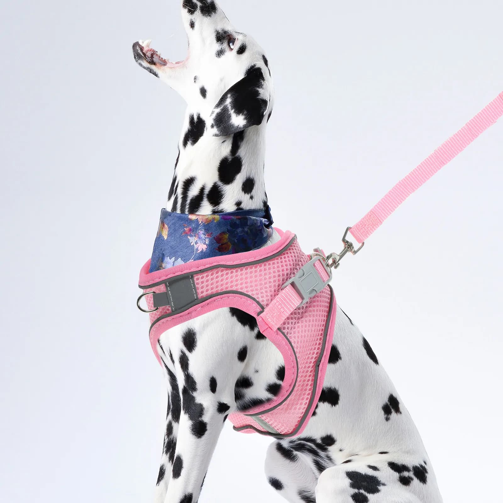 Set di 1 guinzaglio e pettorina riflettente per cani, traspirante, regolabile, comoda per passeggiate all'aperto e addestramento.