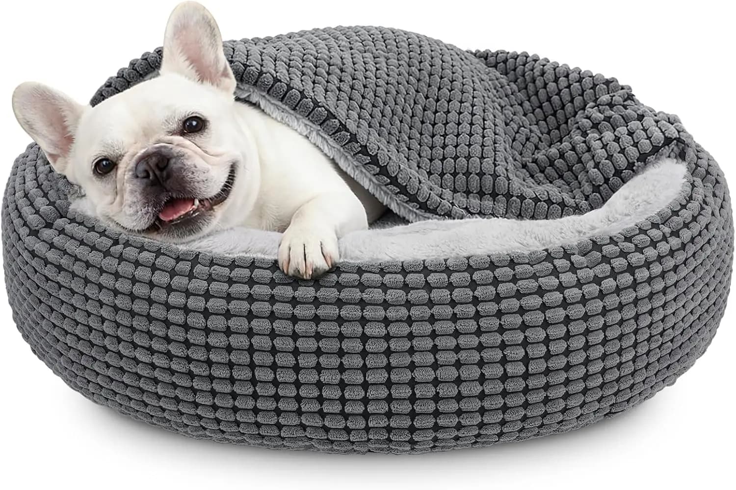 Cuccia per Animali Domestici a Forma di Ciambella con Coperta, Letto Ortopedico Lavabile Antiscivolo per Cani e Gatti 26 Pollici