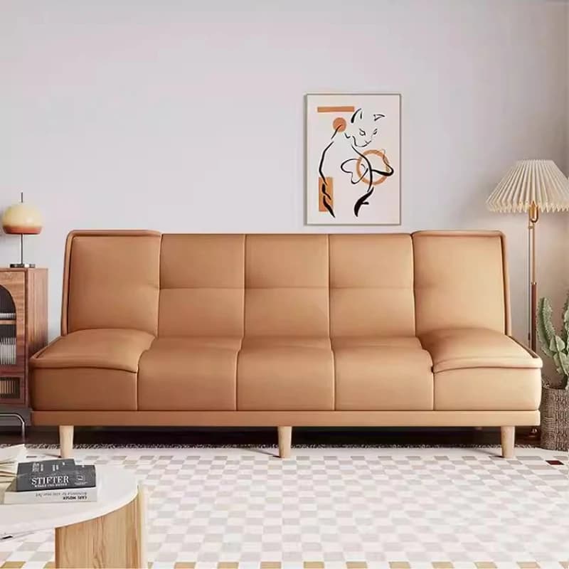 Divano letto pieghevole in pelle a forma di zampa di gatto, stabile, a doppio uso, per piccoli appartamenti, soggiorno, camera da letto, divano semplice per appartamento.