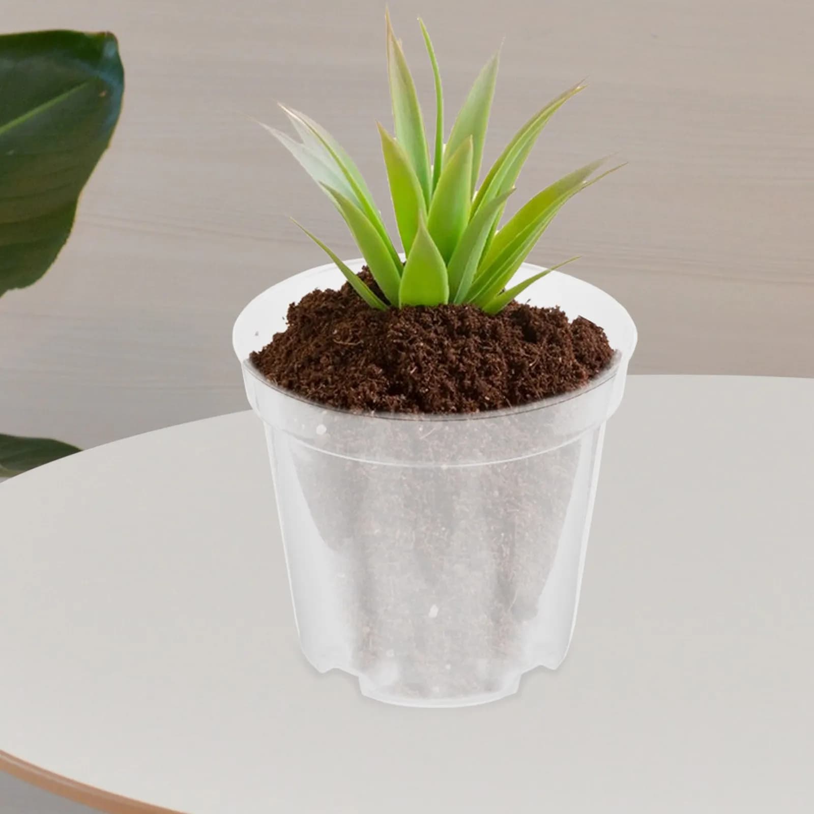 30Pcs Clear Plastic Plant Nursery Pots Transparent Seed Starter Pots for Succulents Flowers with Drainage Hole Stackable