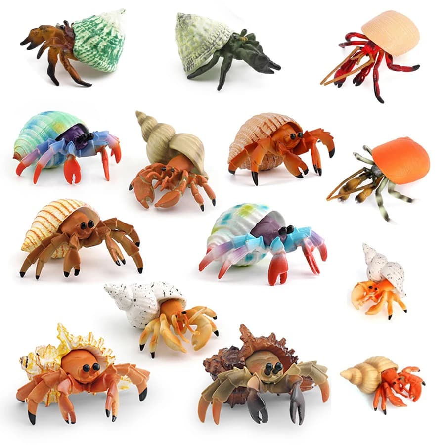 Figurina Realistica di Granchio Eremita, Modello di Creatura Marina in PVC Resistente, Giocattolo Educativo per Bambini e Ragazzi