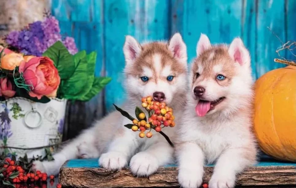 Puzzle in legno per cuccioli carini da 1000/500/300 pezzi per giochi di attività di famiglia impegnativi, regalo di compleanno per le vacanze
