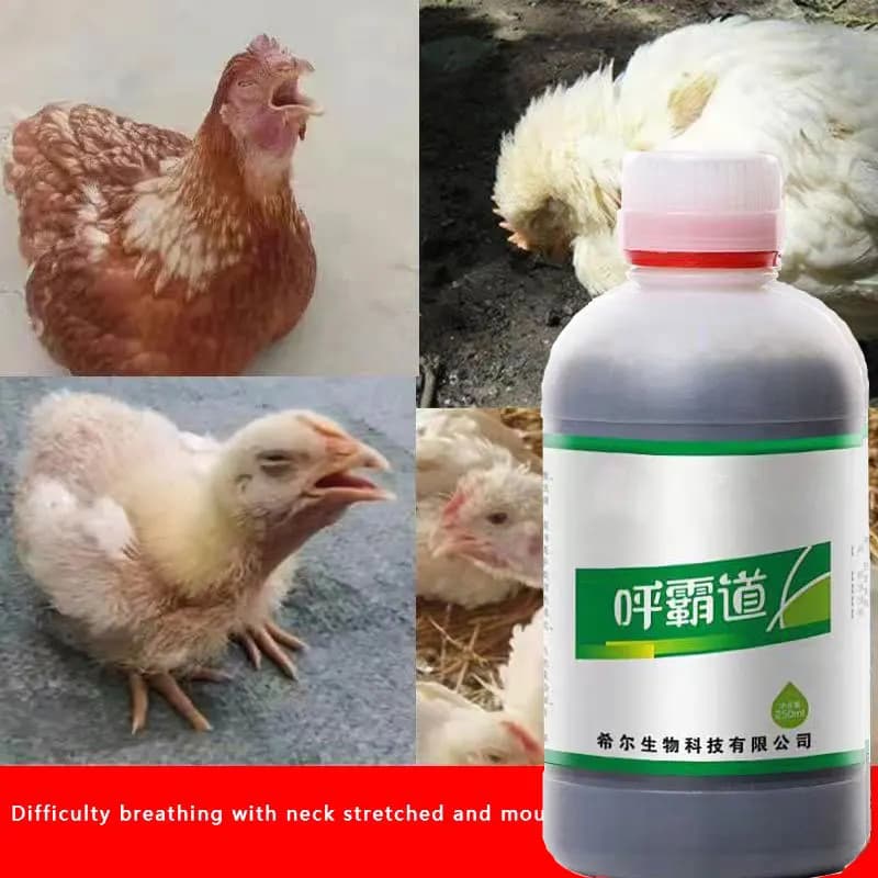 Anatra, oca, pollo, maiale, mucca, respiro, tosse, catarro, bronchite, soluzione nutriente 250 ml