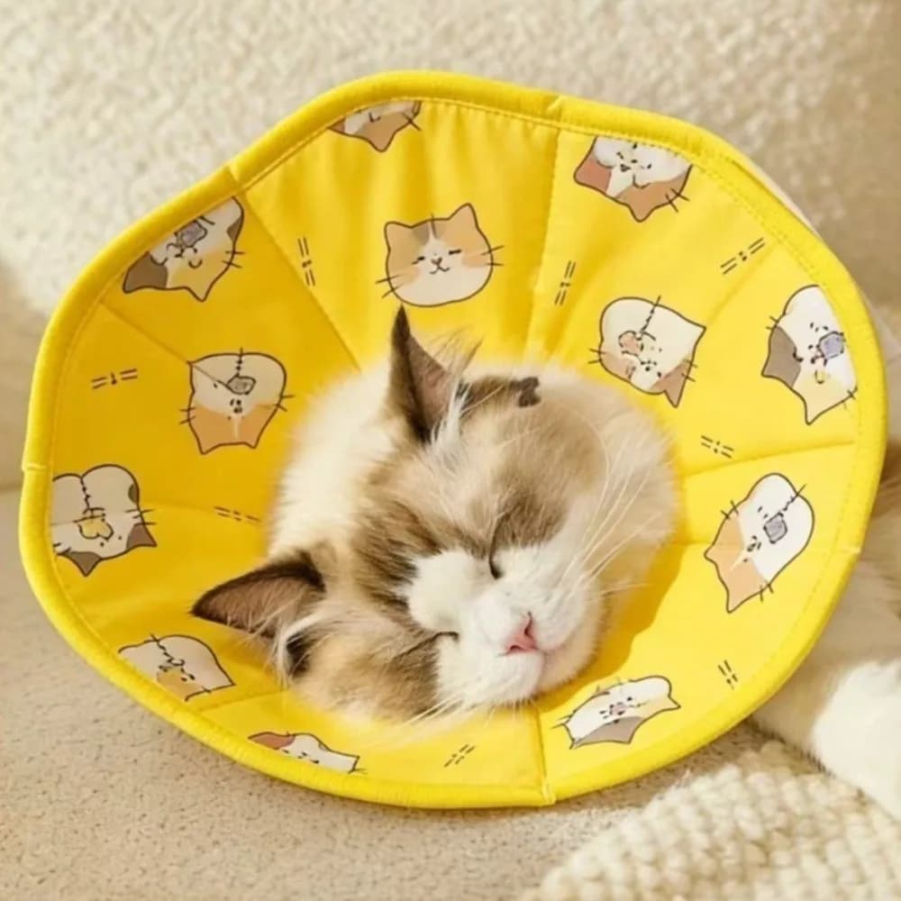 Adjustable Pet Elizabeth Collar Breathable Cartoon Pattern Pet Recovery Cone Waterproof Soft Anti Licking Cat Collar Grooming