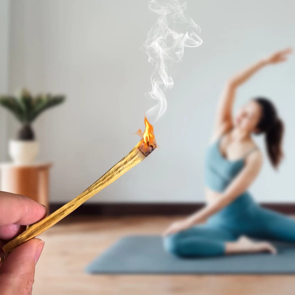 Bastoncini Diffusori di Aroma in Legno di Palo Santo, Bastoncini Purificanti e Curativi Profumati per Casa e Soggiorno