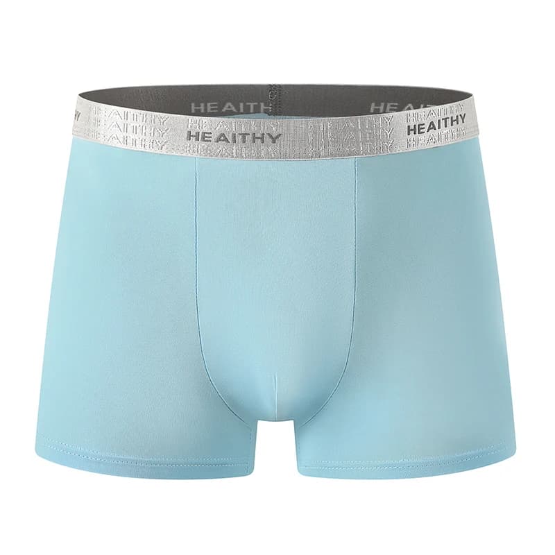 10-Piece Set Of Men's Fashionable Silver Elastic Waistband Underwear Comfortable And Versatile 10 Color Base Sports Basic Short