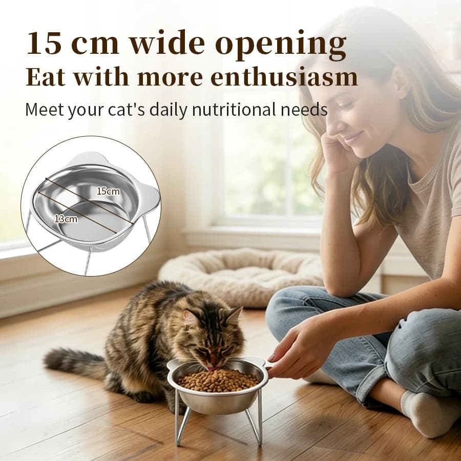 Cat Bowls Elevated 15° Cat Food Bowl with Neck Guard Stainless Steel Shatter Resistant Tilted Pet Bowl for Indoor Kitten Puppy