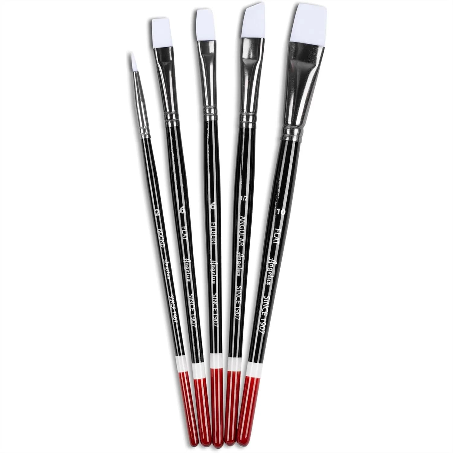 Set di Pennelli per Pittura Acrilica, 5 Pezzi Rotondi, Piatti e Angolari per Progetti Artistici Professionali e Fai-da-Te