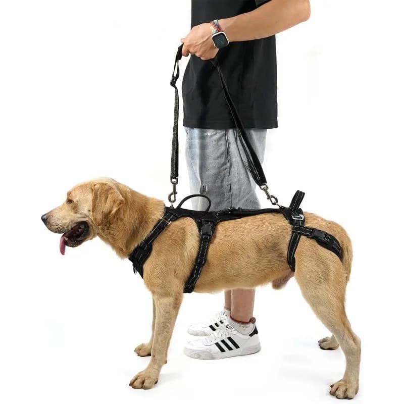 New Dog Lift Rehabilitation Harness, Mobility Assist Sling for Injured Dogs, Outdoor Walking Support Harness with Leash 1 PC