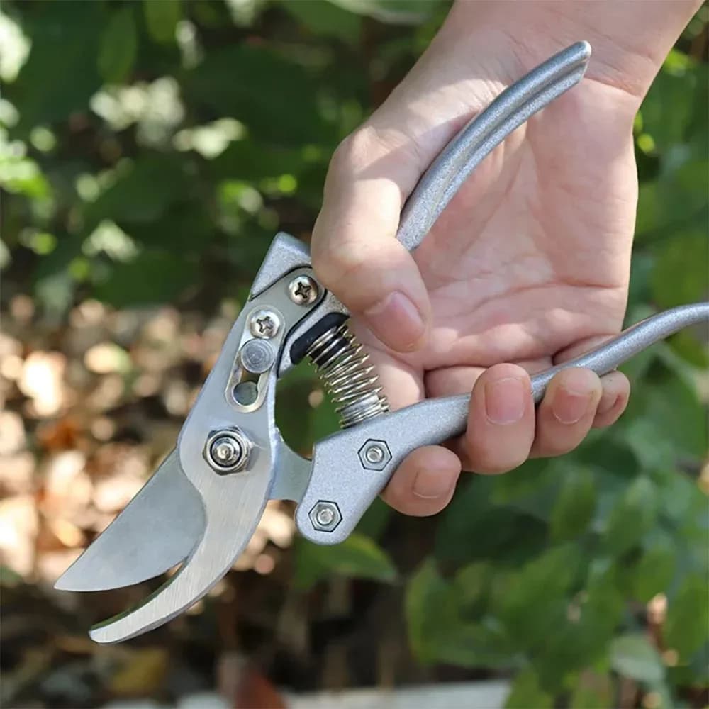 Forbici da Giardino, Cesoie per Rami di Frutteto, Forbici per Potatura Alberi da Frutto, Attrezzo per Potatura Bonsai e Innesto Piante