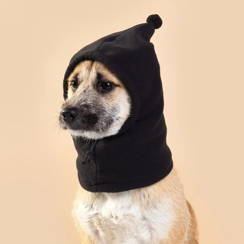 Solid Warm Winter Small Hood Cosplay Chihuahua Yorkshire Cats Adjustable Christmas Beret Exterior for French Bulldog