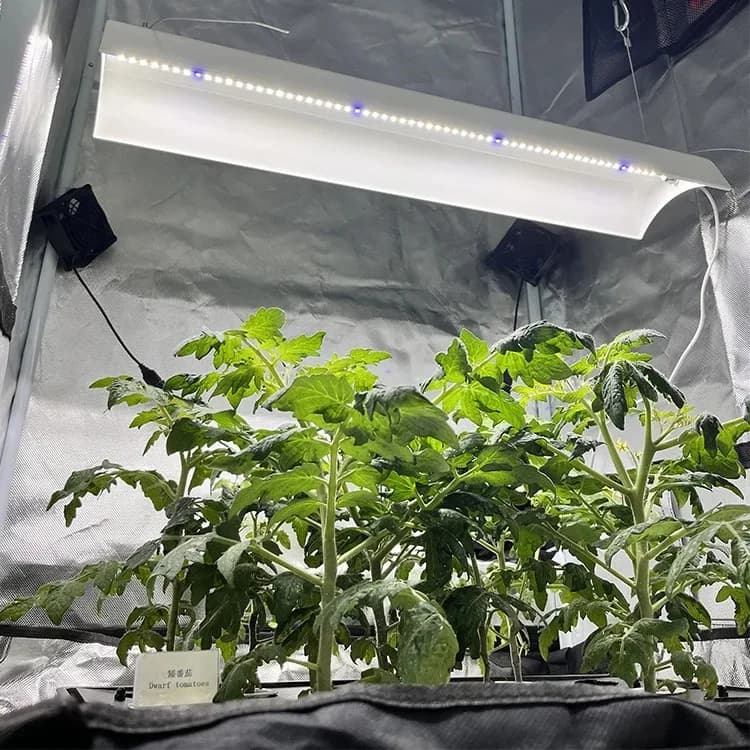 4FT 72W Spettro completo LED Striscia crescente Apparecchio di illuminazione per orticoltura Lampada per piante sospese per semina di piante da interno idroponiche