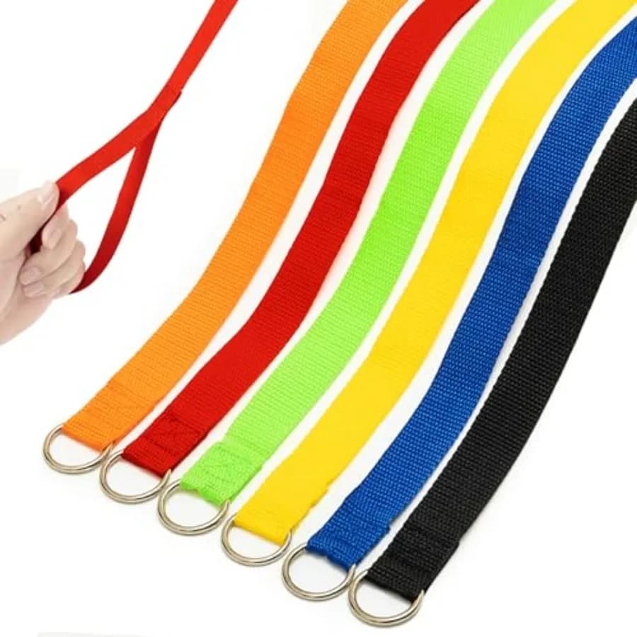 Slip Lead Dog Leash, 6 Pcs Short Dog Leashes with O-Ring for Walking Rescues Training Running Grooming Shelter, 6 Feet Pet Leas