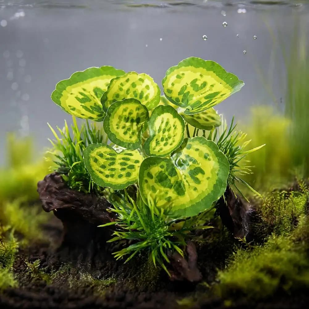 Decorative Tank Plant Accessory Artificial Plant for Fish Tank Aquarium Artificial Plants Set Realistic Plastic for Fish