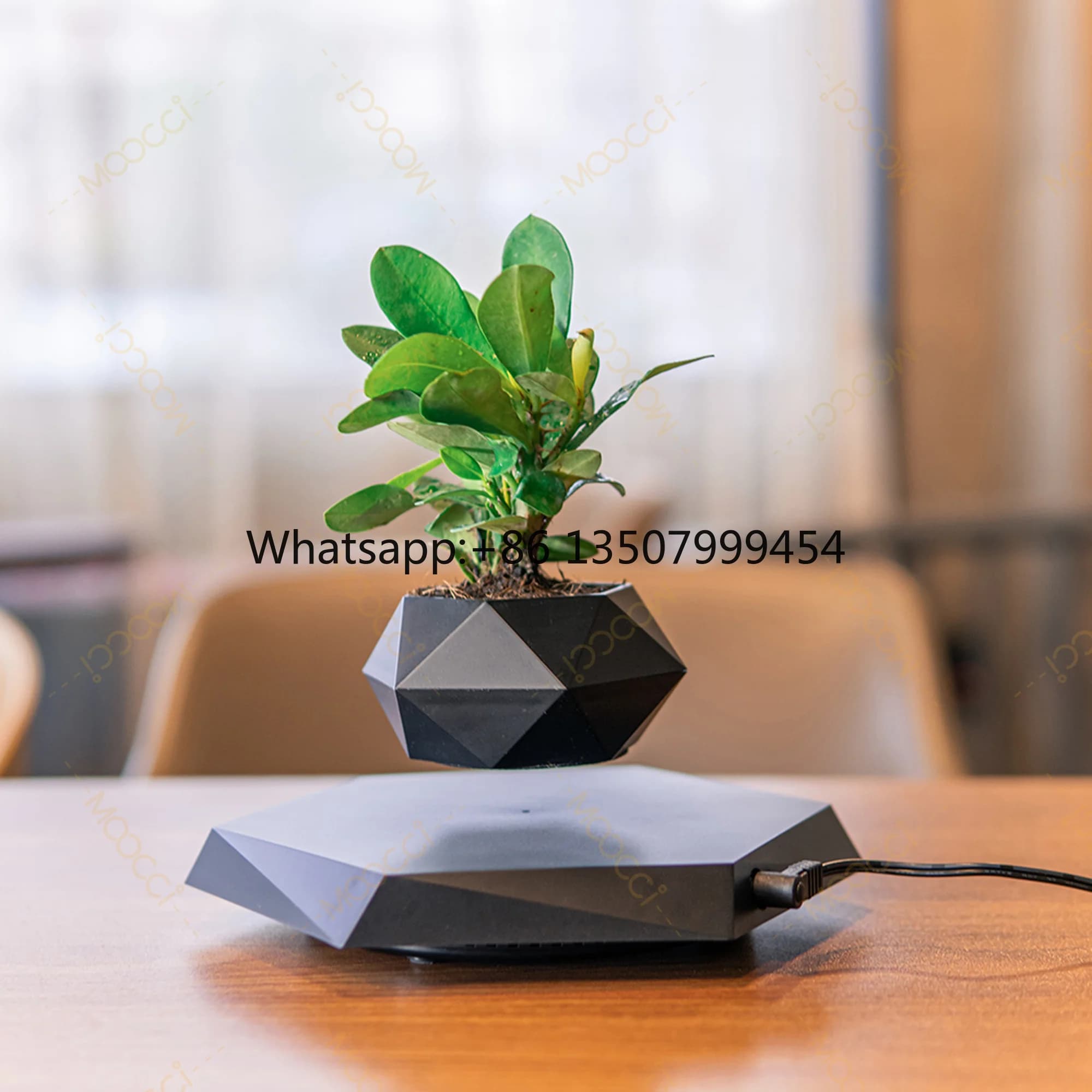 High Quality Personalized Magnetic Floating Levitating Modern Smart Gargen Indoor Decoration Succulents Flower Plant Pot