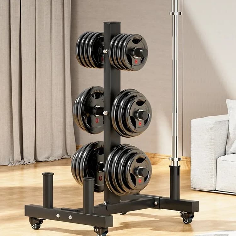 Gym at home Fitness Weight racks Metal and steel weight holder with wheels W 2