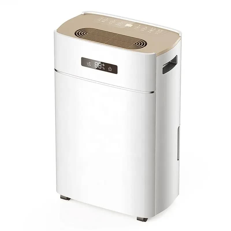 Deumidificatore domestico con avviamento automatico per la casa RYER-620E