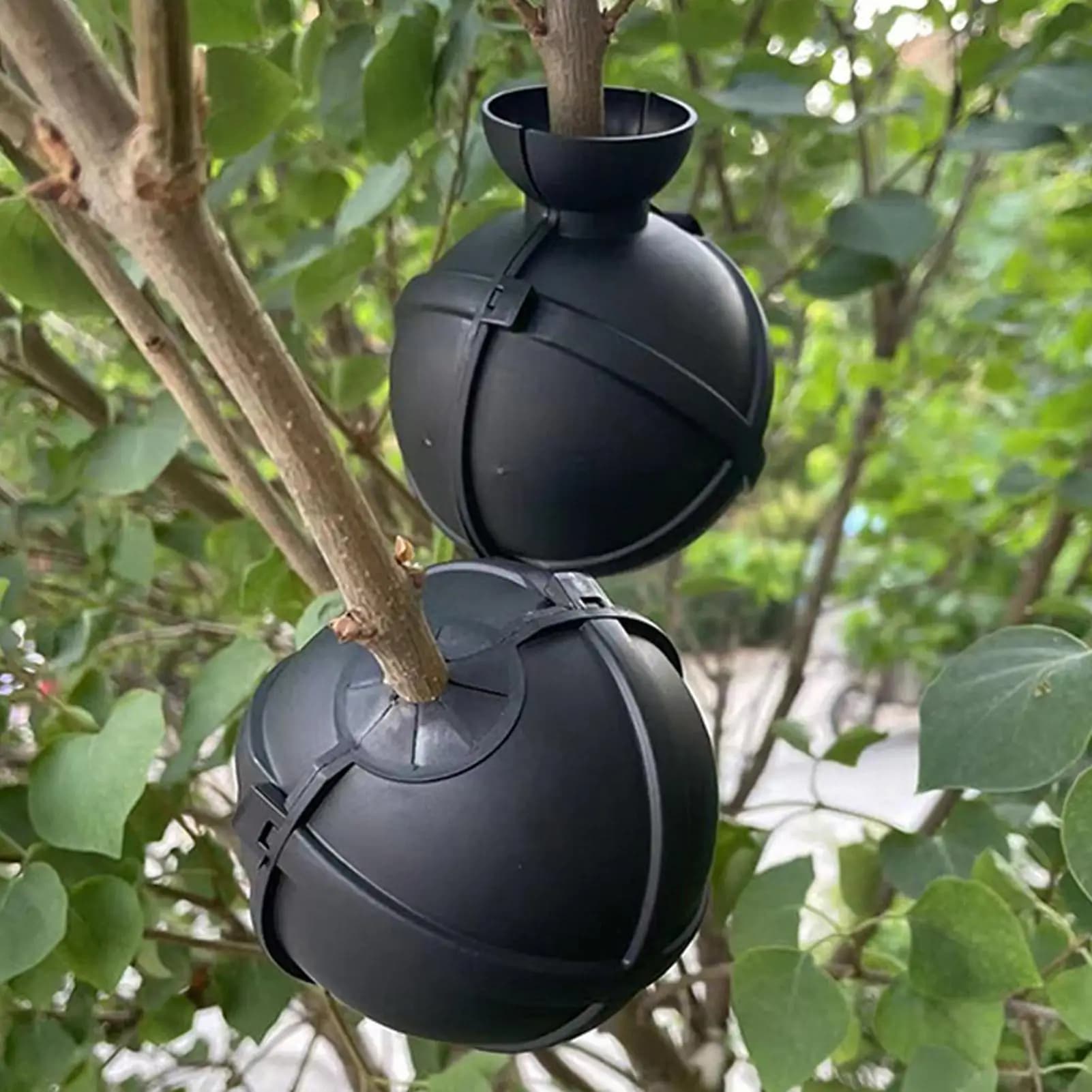 Plant Rooting Ball Grafting Box Pods Fertilizer Substrate Cuttings Grow Plant Propagation Ball Transplanting for Garden Potting