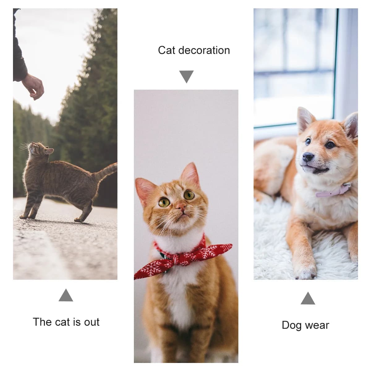 Adjustable PVC Raincoat Collar for Small Dogs and Medium Orange Robusto and Resistant for Loss Prevention
