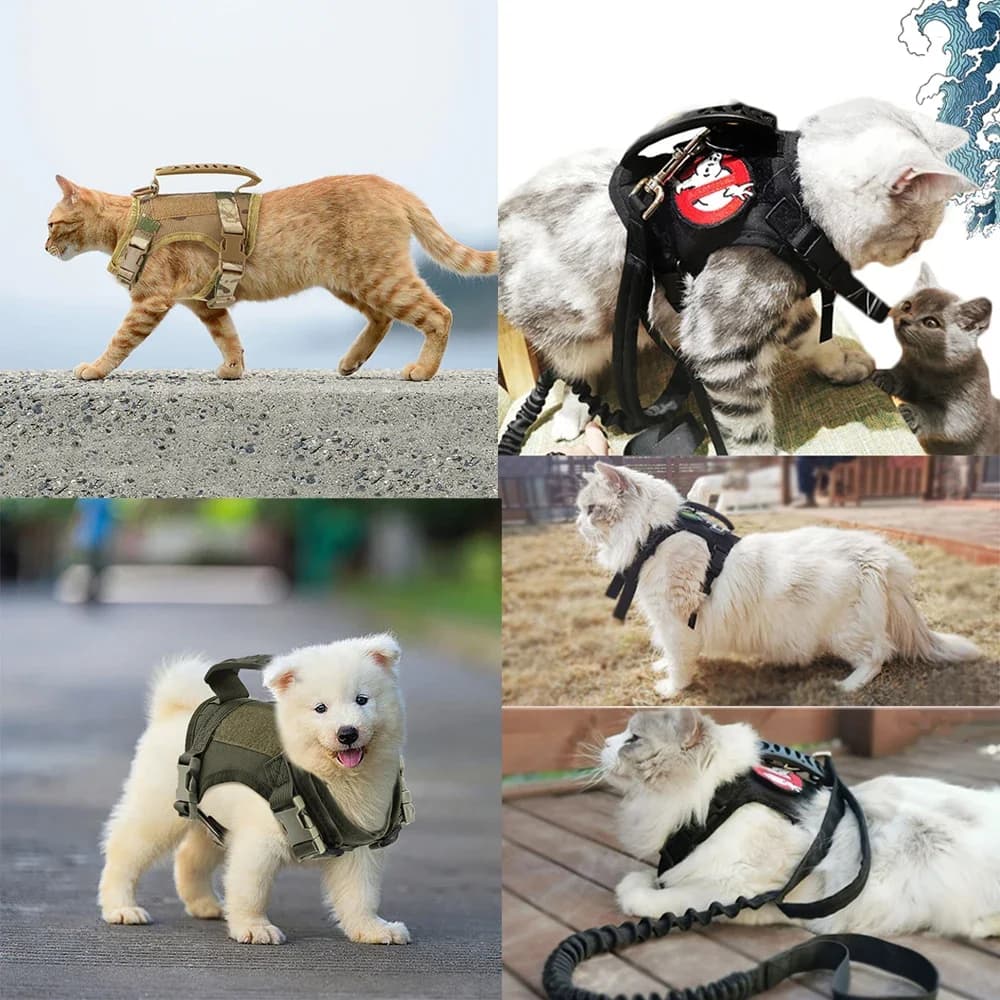 Guinzaglio tattico regolabile per cuccioli per cani di piccola taglia, gatti, gattini, gilet per servizio militare, allenamento per cani, passeggiate