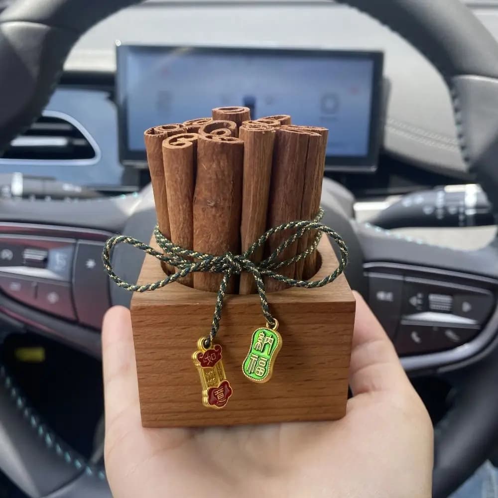 Diffusore di aromaterapia alla cannella fai-da-te Diffusori di oli essenziali in legno volatili ricaricabili unici ed ecologici