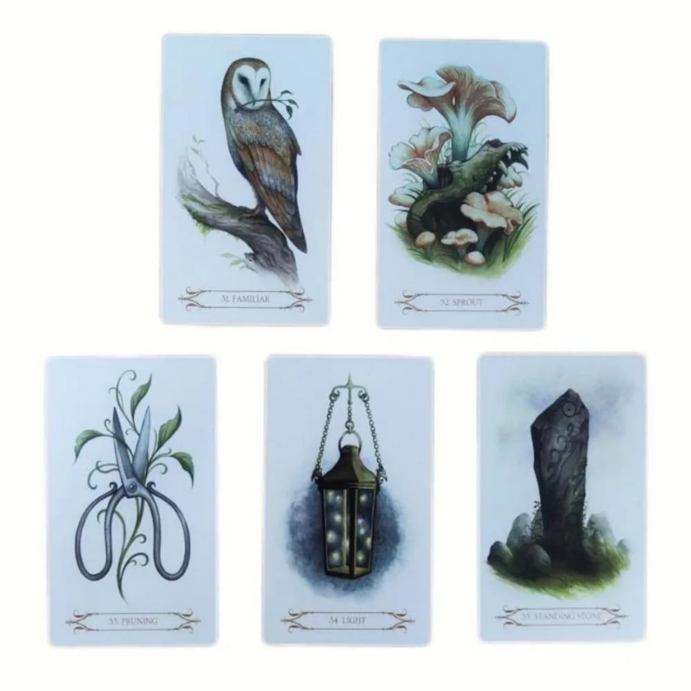 Un compendio di streghe Oracle 12x7 cm giochi di carte