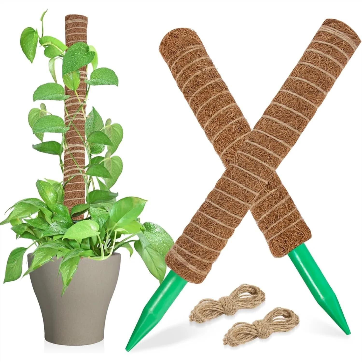 Palo di muschio per piante Monstera, 2 pz, 40 cm, Palo in fibra di cocco per piante rampicanti da interno, per l'allenamento e la crescita verso l'alto con juta