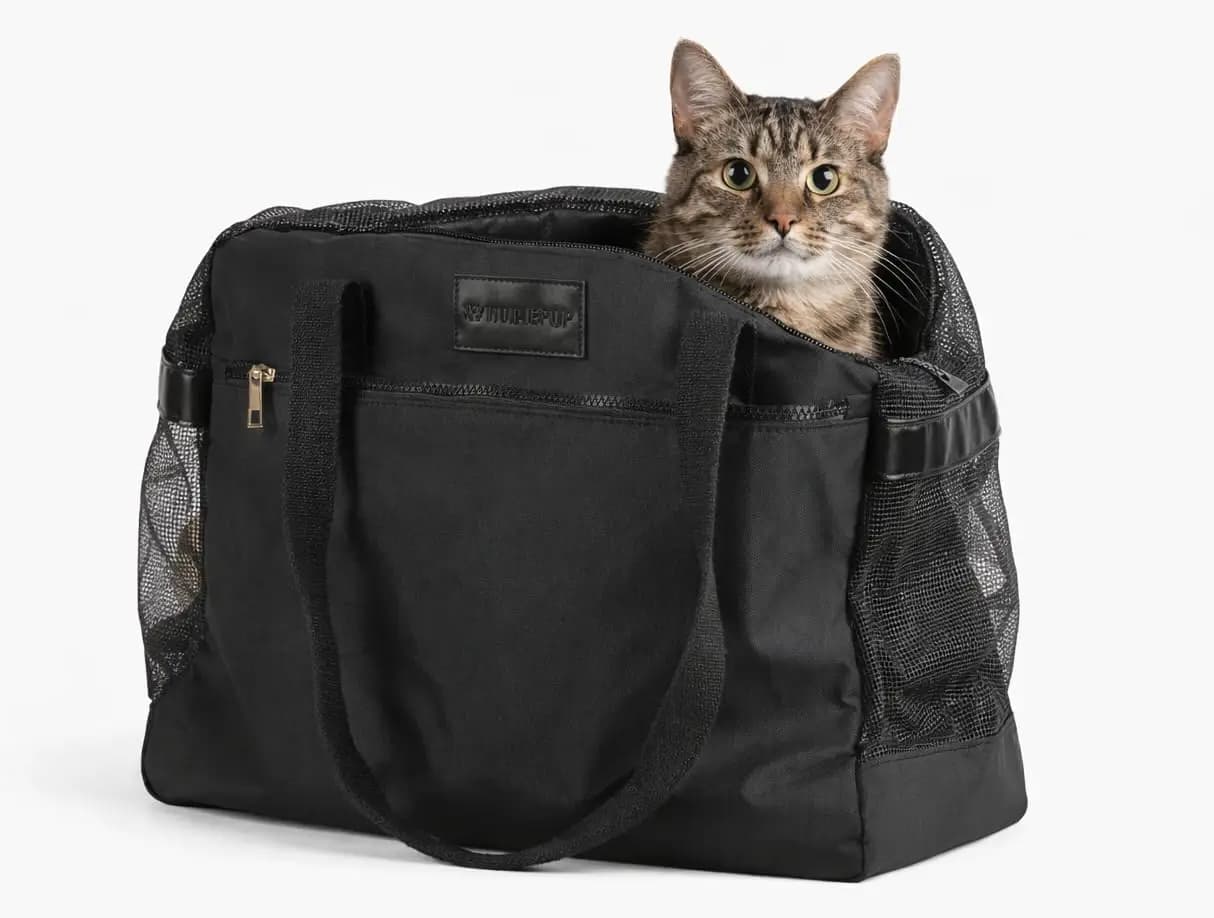 Borsa da Viaggio per Cani e Gatti, Trasportino Morbido con Pannelli in Rete Traspirante, Tasche e Cuscino Rimovibile, per Animali Domestici, Blu