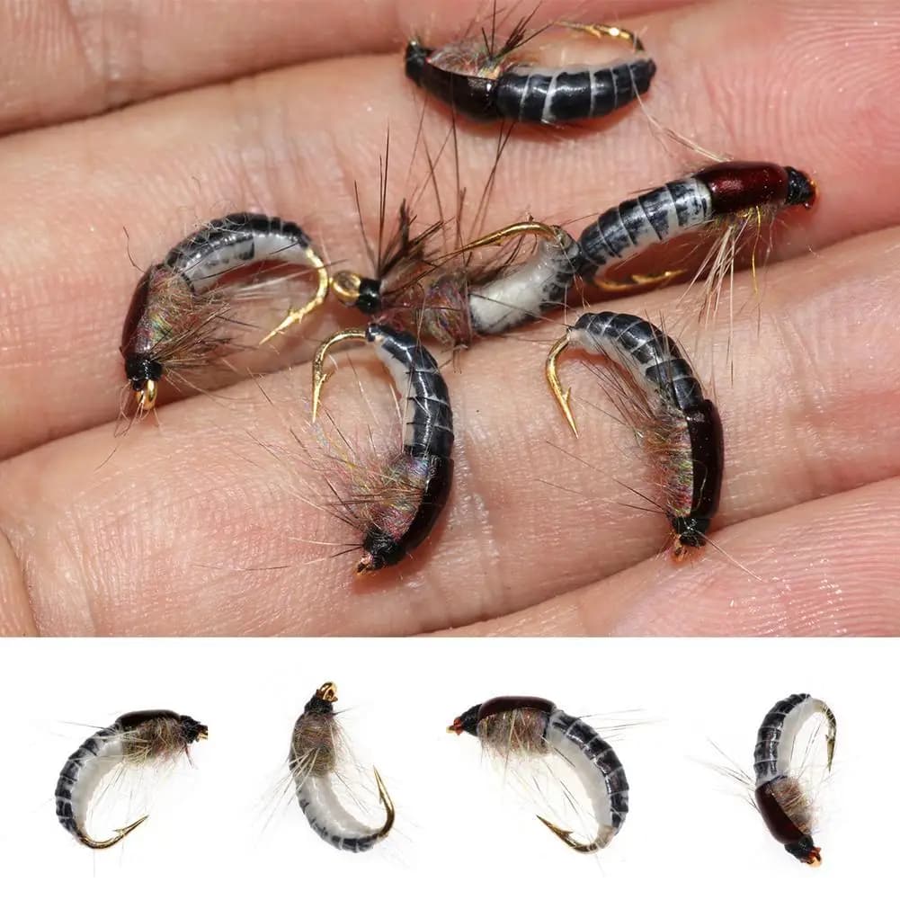Per Bimoo 6 pezzi # 12 Mosche Artificiali Realistiche per Pesca alla Trota, Esche a Forma di Ninfa, Esca Insetto Artificiale, Mosca da Pesca a Forma di Ninfa di Caddis