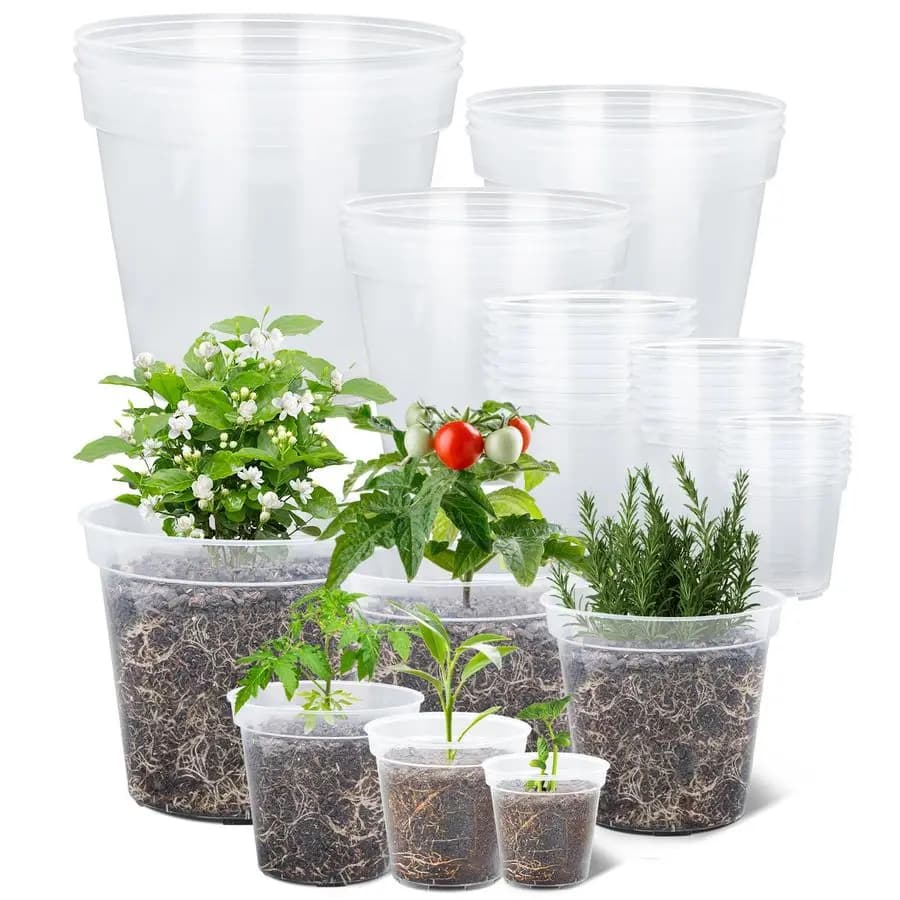 Transparent nursery vases reinforced by 4, 5, 6, 7, 8, 9 inches, assorted packaging of transparent plastic nursery vessels, 30 packs of seed and flowers seed vases
