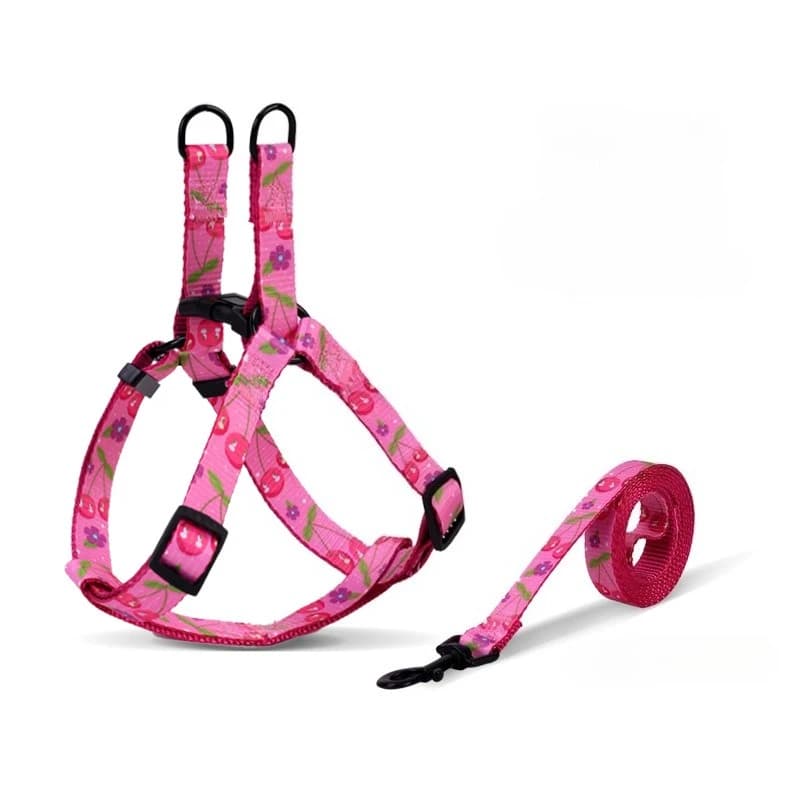 set di pettorina e guinzaglio per cani carino e confortevole senza ritenuta Teddy corgi fascia toracica per cani imbracatura e guinzaglio per chihuahua per passeggiate