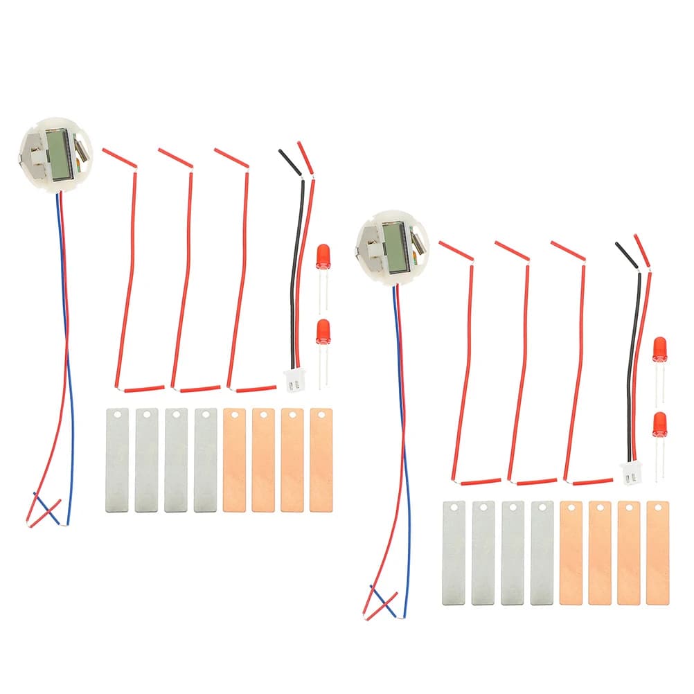 2 set Kit per esperimenti di frutta Kit per la creazione di orologi per patate Giocattoli per bambini Progetti scientifici Forniture educative Apprendimento degli studenti