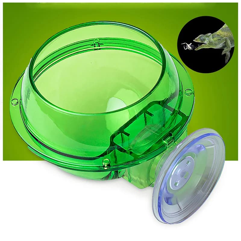 Rettile alimentatore camaleonte alimentazione ciotola per alimenti piatto per acqua ventosa per geco lucertola barbuto Ledge forniture animali domestici accessori