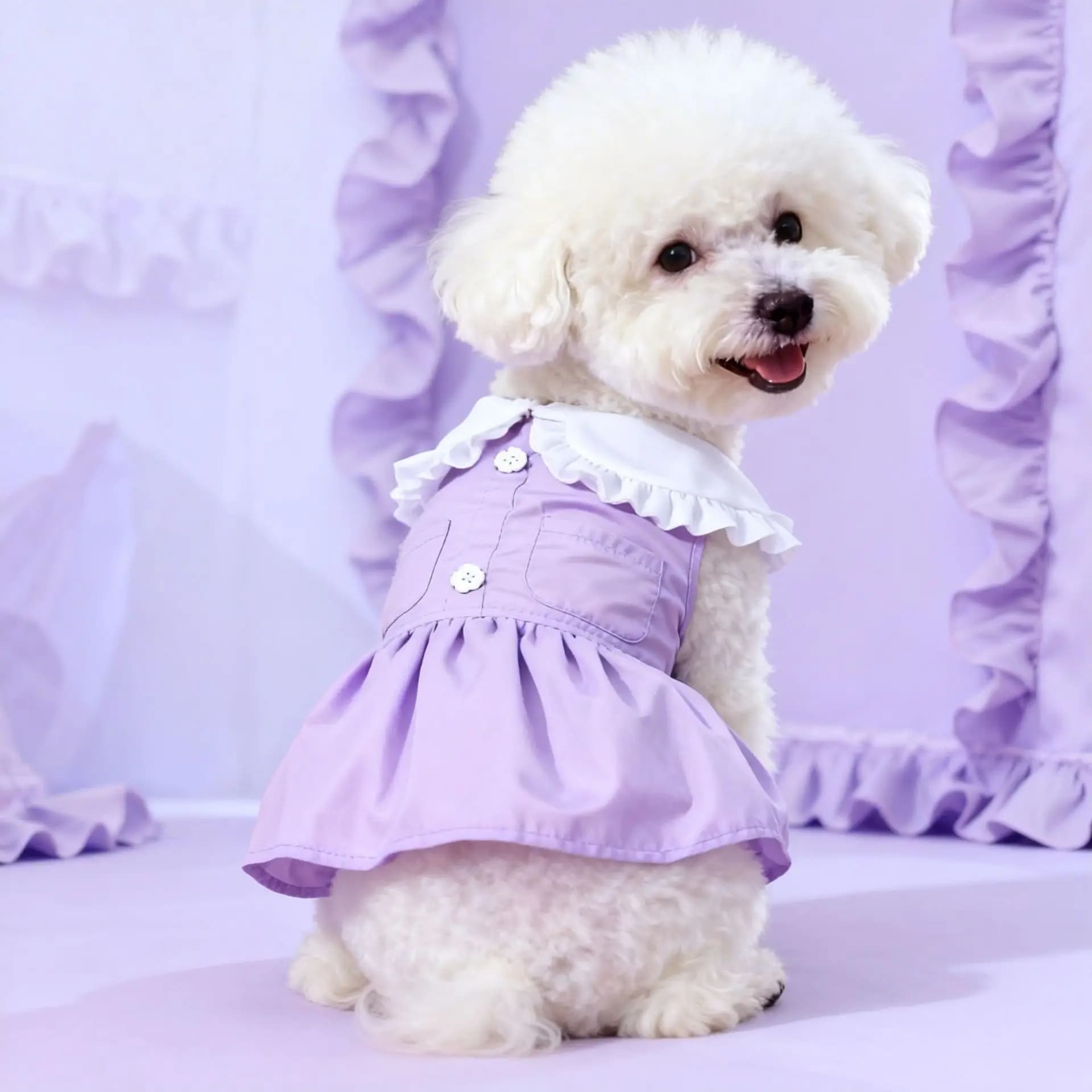 Dog Skirt Summer Thin Peter Pan Collar Dog Dress Cute Student Style Pet Clothes for Small Dogs Teddy Bichon Puppy Outfit Supplie