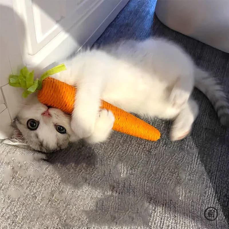 Giocattoli per gatti Carota Coccole bastoncino per gatti dal divertimento bastoncino per dentizione per gatti divertente antigraffio per gatti anti-morso forniture per animali domestici