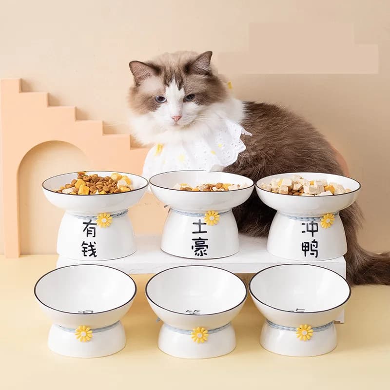 Ciotola per Animali Domestici con Design Cartoonesco, Alimentatore Rialzato Antiscivolo in Ceramica per Cani e Gatti, Contenitore per Cibo e Acqua