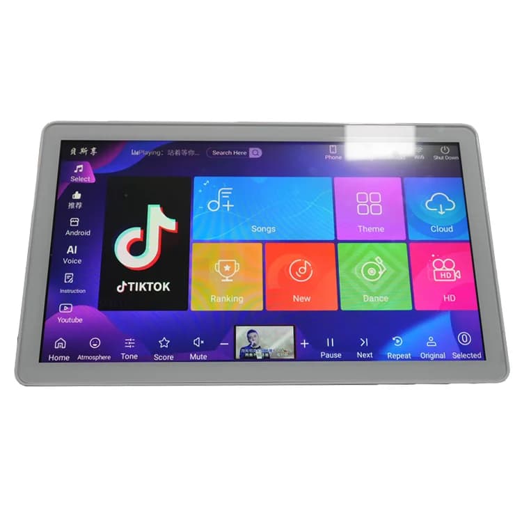 Magic Sing 4K Karaoke Player With Million Songs Library & DSP Sound Adjustment Jukebox Machine & Wireless Microphone