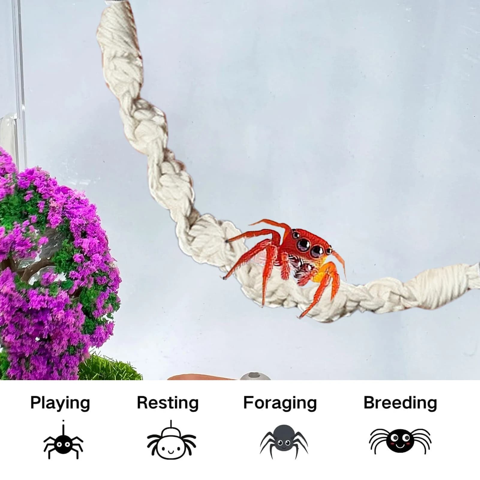 Jumping spider decoration 2 pieces Cotton corda Natural hand-made hammocks Jumping spider accessories for camping walks Daily travel