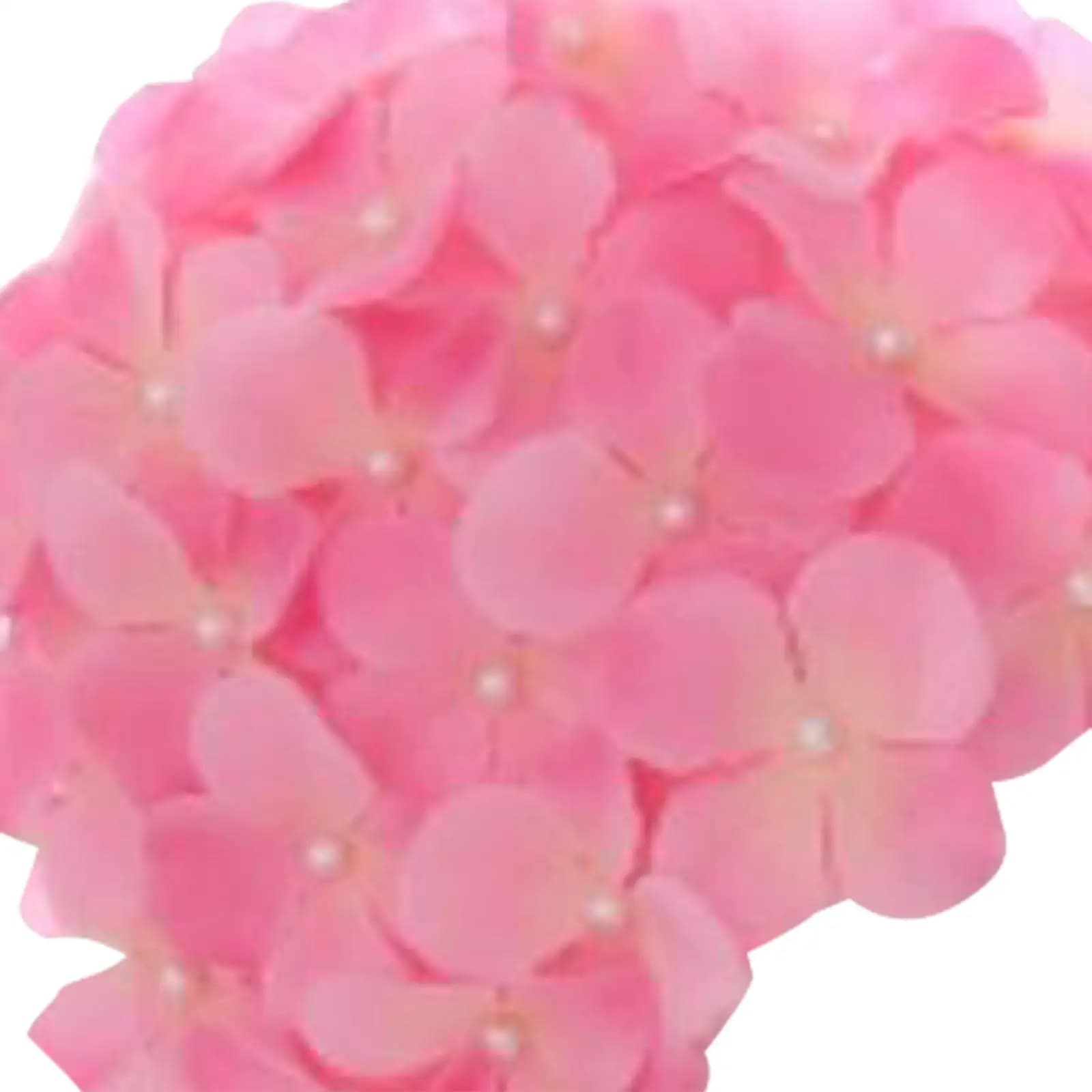 Swim cap with flowers, swim hat with three-dimensional petals, comfortable and reusable swim hat for women, fashionable, for holiday gifts