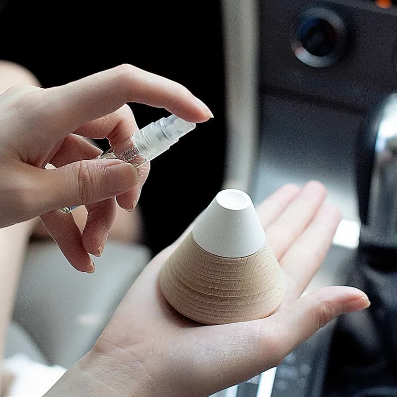 Diffusore di fragranze per la casa, decorazione di aromi in auto e Bedroon, deodorante per ambienti in Diatomite
