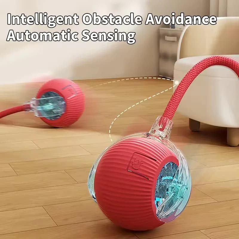 Hot Electric Dog Ball Toys Palla rotolante automatica Ricaricabile Smart Pet Peluche interattivo Addestramento per cani e gatti Imitare il mouse