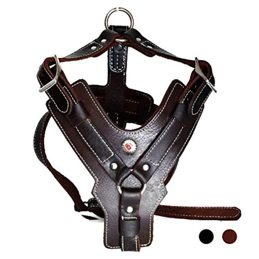 Pettorina per Cani in Vera Pelle Fatta a Mano, Resistente e Robusta, con Cinghie Regolabili, Anti-Trazione, Facile Controllo, Modello 28