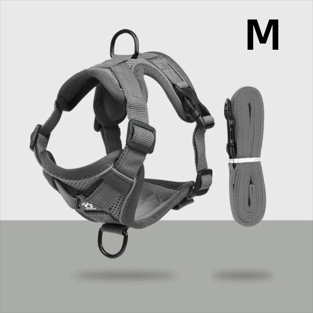Set Pettorina e Guinzaglio Riflettente alla Moda per Gatti, Pettorina Regolabile Traspirante in Rete per Cani, Accessori per Animali Domestici