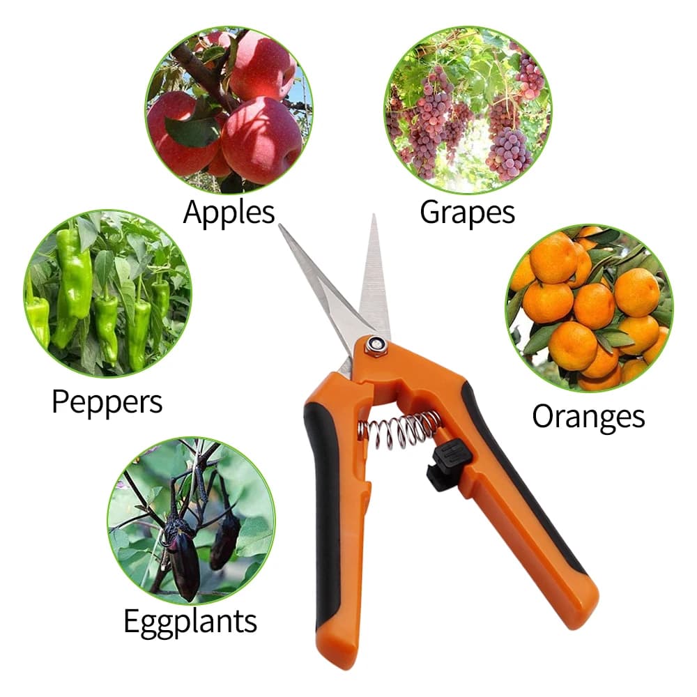 Garden Pruning Shears Stainless Steel Plants Fruit Grape Picking Scissors Horticulture Leaf Trimmer Straight Elbow Pruning Tools