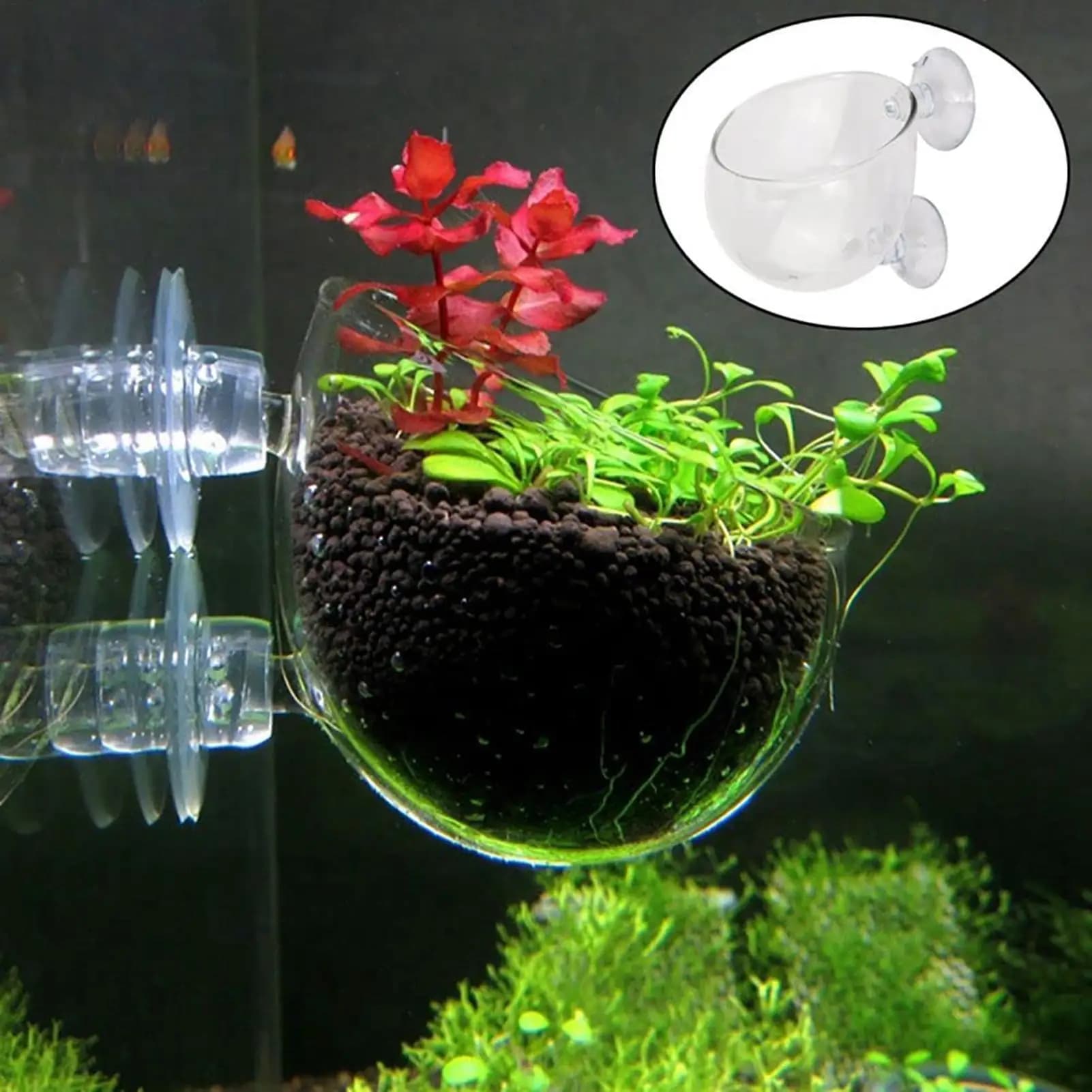 Vaso per piante acquatiche Fioriera per acquario in acrilico trasparente con ventosa Ornamenti per acquario per la coltivazione della propagazione idroponica