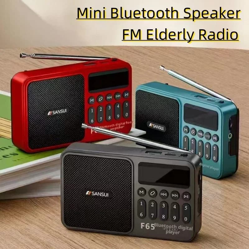 Shanshui F65 Radio FM portatile MP3 Walkman TF/USB Altoparlante wireless Bluetooth Sport all'aria aperta Mini macchina per ordini di canzoni digitali
