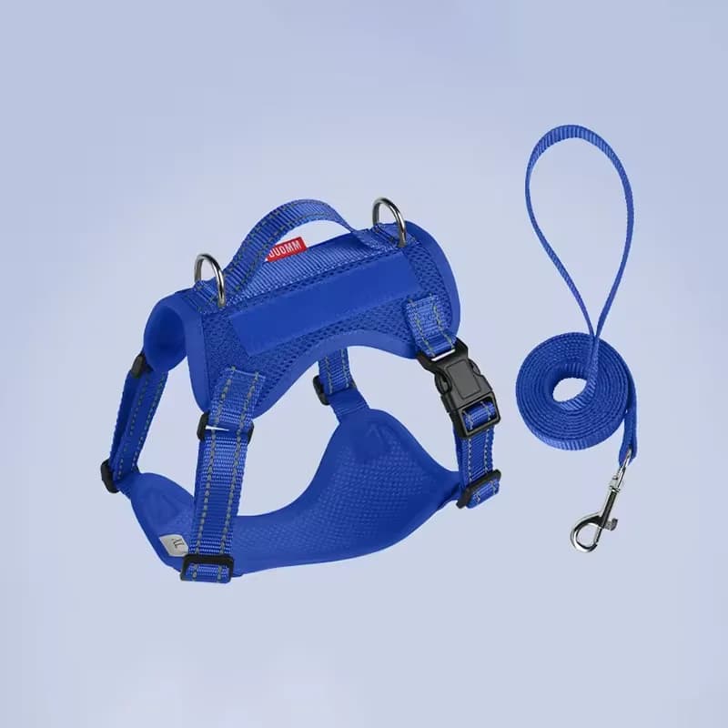 Set Guinzaglio e Pettorina per Cani Riflettente per Cani Piccoli e Medi, Pettorina a Gilet con Guinzaglio per Passeggiate all'Aperto, Attrezzatura per Bulldog Francese