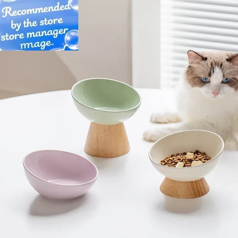 Cat Tilted Ceramic Bowl Small Dogs Elevated Food Water Feeders Pet Drinking Eating Supplies with Wooden Stand