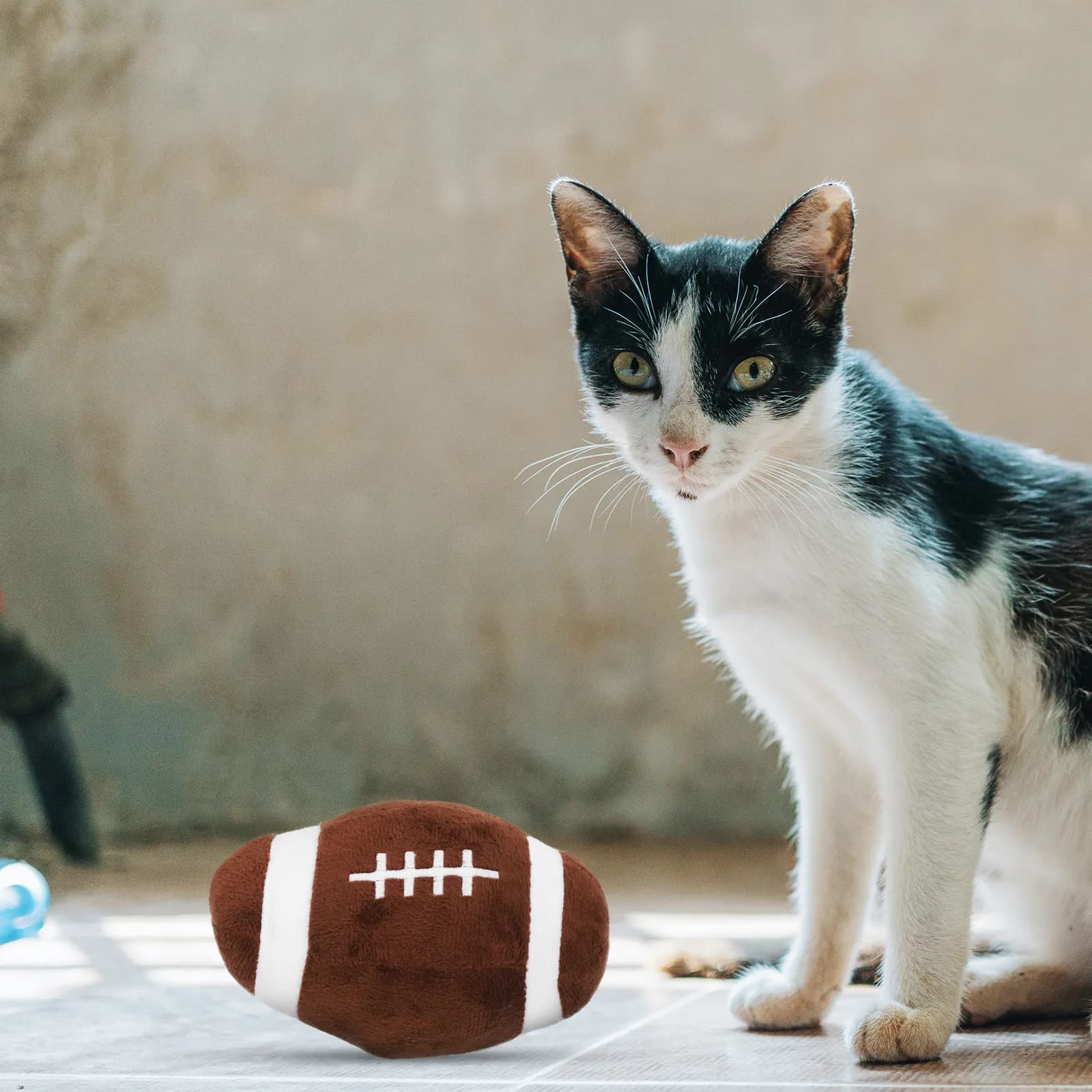 Set di Palline da Tennis per Cani e Gatti, Materiale Morbido Resistente per la Pulizia dei Denti, Gioco di Lancio, Inseguimento ed Esercizio